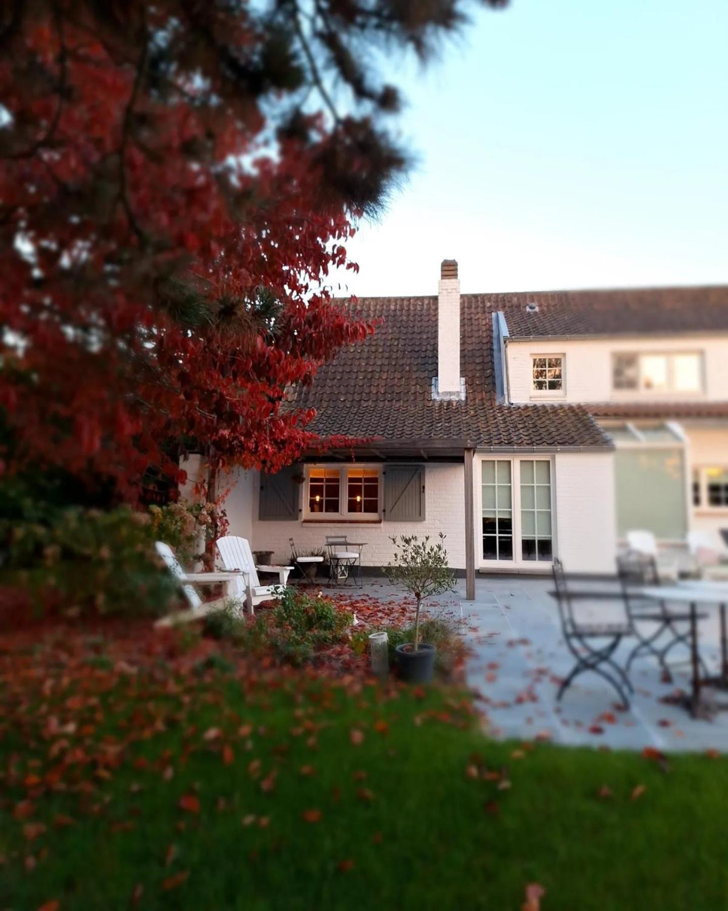 Chambres D'Hotes - Au Clos D'Amande Lasne Exterior photo
